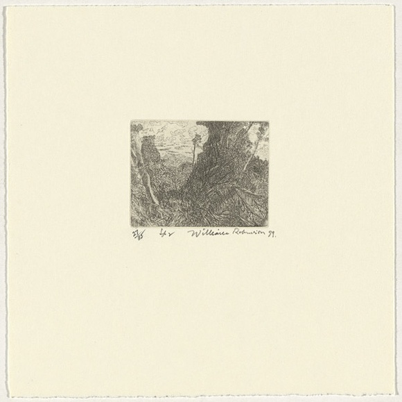 Artist: b'Robinson, William.' | Title: b'Springbrook 2' | Date: 1999 | Technique: b'etching, printed in brown ink, from one plate' Artist: b'Robinson, William.' | Title: b'Springbrook 2' | Date: 1999 | Technique: b'etching, printed in brown ink, from one plate'