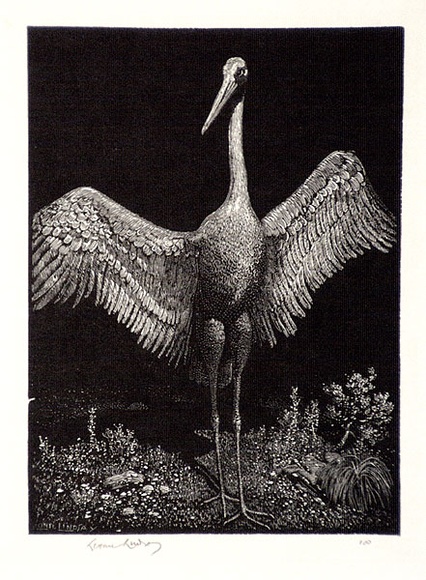 Artist: b'LINDSAY, Lionel' | Title: b'The dancer' | Date: 1924 | Technique: b'wood-engraving, printed in black ink, from one block' | Copyright: b'Courtesy of the National Library of Australia' Artist: b'LINDSAY, Lionel' | Title: b'The dancer' | Date: 1924 | Technique: b'wood-engraving, printed in black ink, from one block' | Copyright: b'Courtesy of the National Library of Australia'