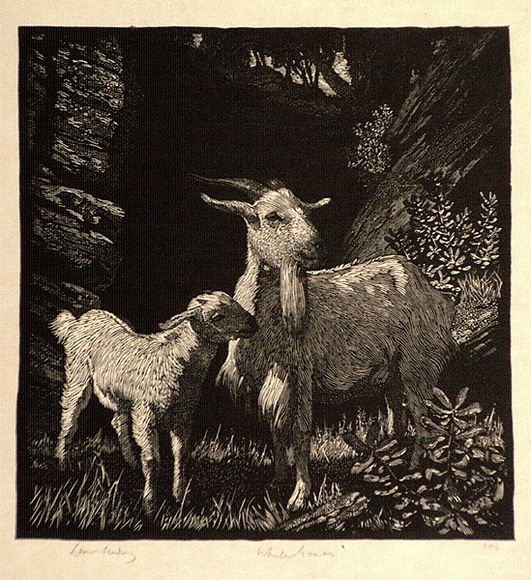 Artist: b'LINDSAY, Lionel' | Title: b'White goats' | Date: 1925 | Technique: b'wood-engraving, printed in black ink, from one block' | Copyright: b'Courtesy of the National Library of Australia' Artist: b'LINDSAY, Lionel' | Title: b'White goats' | Date: 1925 | Technique: b'wood-engraving, printed in black ink, from one block' | Copyright: b'Courtesy of the National Library of Australia'