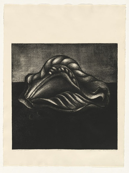 Artist: b'VILA-BOGDANICH, Memnuna' | Title: b'Shell' | Date: 1974 | Technique: b'aquatint and mezzotint, printed in black ink, from one plate' | Copyright: b'This work appears on screen courtesy of the artist. All copyright reserved in the artist' Artist: b'VILA-BOGDANICH, Memnuna' | Title: b'Shell' | Date: 1974 | Technique: b'aquatint and mezzotint, printed in black ink, from one plate' | Copyright: b'This work appears on screen courtesy of the artist. All copyright reserved in the artist'