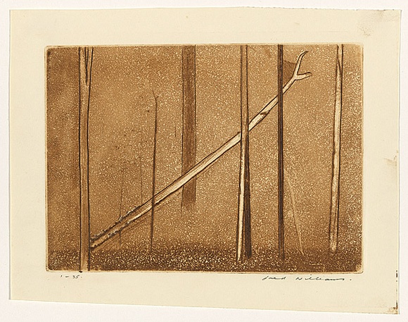 Artist: b'WILLIAMS, Fred' | Title: b'Fallen tree' | Date: 1962 | Technique: b'etching, engraving, aquatint, drypoint, printed in brown ink, from one copper plate' | Copyright: b'\xc2\xa9 Fred Williams Estate' Artist: b'WILLIAMS, Fred' | Title: b'Fallen tree' | Date: 1962 | Technique: b'etching, engraving, aquatint, drypoint, printed in brown ink, from one copper plate' | Copyright: b'\xc2\xa9 Fred Williams Estate'