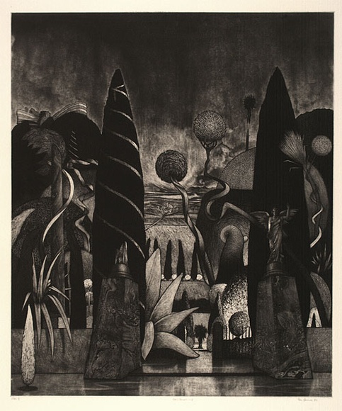 Artist: b'Quick, Ron.' | Title: bFool's paradise II | Date: 1987 | Technique: b'etching, aquatint, roulette, scraping and burnishing, printed in black ink, from one plate' Artist: b'Quick, Ron.' | Title: bFool's paradise II | Date: 1987 | Technique: b'etching, aquatint, roulette, scraping and burnishing, printed in black ink, from one plate'