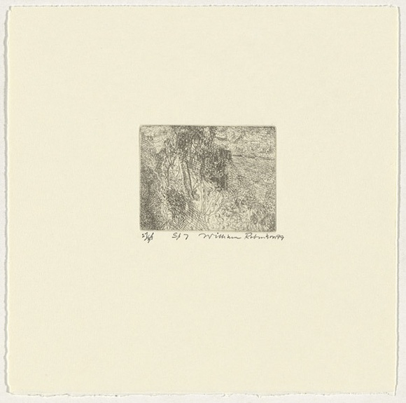 Artist: b'Robinson, William.' | Title: b'Springbrook 7' | Date: 1999 | Technique: b'etching, printed in brown ink, from one plate' Artist: b'Robinson, William.' | Title: b'Springbrook 7' | Date: 1999 | Technique: b'etching, printed in brown ink, from one plate'