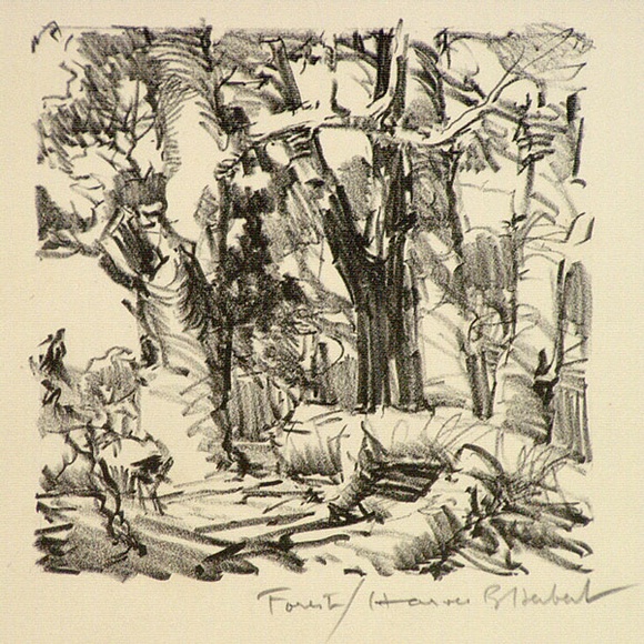 Artist: b'Herbert, Harold.' | Title: b'Forest' | Date: c.1931 | Technique: b'lithograph, printed in black ink, from one stone' Artist: b'Herbert, Harold.' | Title: b'Forest' | Date: c.1931 | Technique: b'lithograph, printed in black ink, from one stone'