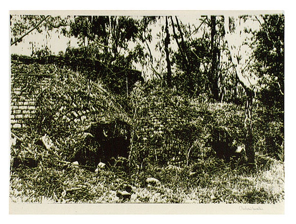 Artist: b'Conacher, Andrew.' | Title: b'(Poster of overgrown brick wall and trees).' | Date: c.1974 | Technique: b'screenprint, printed in colour, from multiple stencils' Artist: b'Conacher, Andrew.' | Title: b'(Poster of overgrown brick wall and trees).' | Date: c.1974 | Technique: b'screenprint, printed in colour, from multiple stencils'