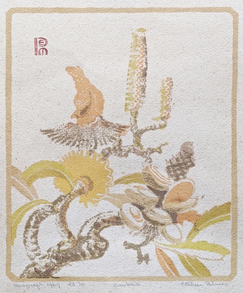 Artist: Palmer, Ethleen. | Title: Banksia. | Date: 1949 (dated) | Technique: screenprint, printed in colour, from multiple stencils