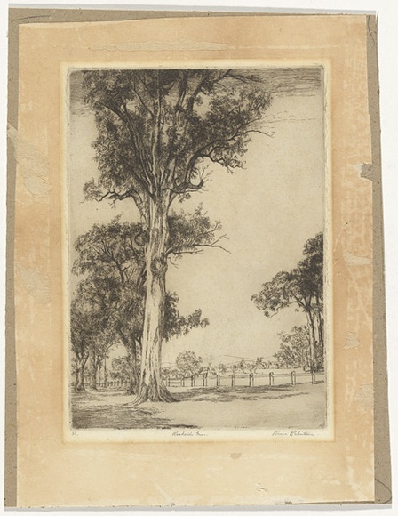 Artist: b'ROBERTSON, Bruce' | Title: b'Roadside trees' | Date: (1931) | Technique: b'etching, printed in black ink with plate-tone, from one plate' Artist: b'ROBERTSON, Bruce' | Title: b'Roadside trees' | Date: (1931) | Technique: b'etching, printed in black ink with plate-tone, from one plate'