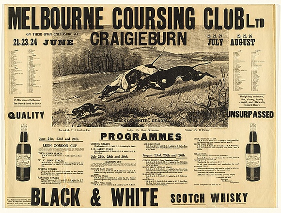 Artist: b'Swain.' | Title: b'Melbourne Coursing Club Limited, Craigieburn' | Date: c.1923 | Technique: b'wood-engraving printed in black ink, from one block, letterpress' Artist: b'Swain.' | Title: b'Melbourne Coursing Club Limited, Craigieburn' | Date: c.1923 | Technique: b'wood-engraving printed in black ink, from one block, letterpress'