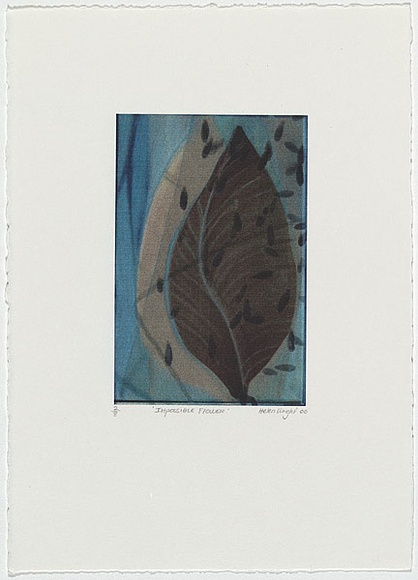 Artist: b'Wright, Helen.' | Title: b'(Two leaves on blue background and blue specks)' | Date: 2000 | Technique: b'digital print, printed in colour, from digital file' Artist: b'Wright, Helen.' | Title: b'(Two leaves on blue background and blue specks)' | Date: 2000 | Technique: b'digital print, printed in colour, from digital file'