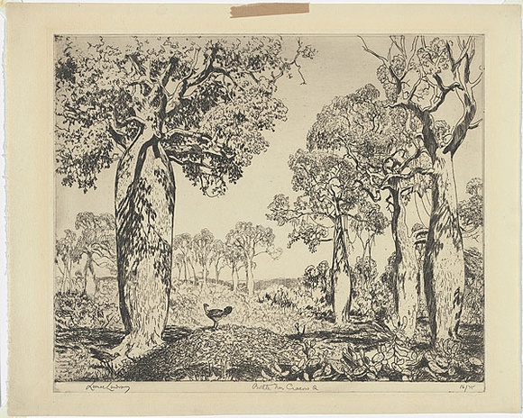 Artist: b'LINDSAY, Lionel' | Title: b'Bottle trees, Cracow, Queensland' | Date: 1932 | Technique: b'etching, printed in warm black ink, from one plate' | Copyright: b'Courtesy of the National Library of Australia' Artist: b'LINDSAY, Lionel' | Title: b'Bottle trees, Cracow, Queensland' | Date: 1932 | Technique: b'etching, printed in warm black ink, from one plate' | Copyright: b'Courtesy of the National Library of Australia'