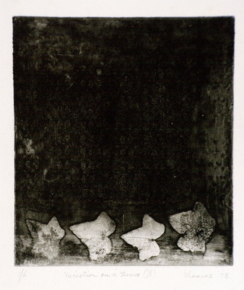 Artist: b'Shearer, Mitzi.' | Title: b'Variation on a theme (II)' | Date: 1978 | Technique: b'etching, printed in black ink, from one plate' Artist: b'Shearer, Mitzi.' | Title: b'Variation on a theme (II)' | Date: 1978 | Technique: b'etching, printed in black ink, from one plate'