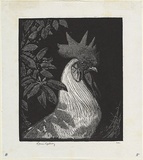 Artist: LINDSAY, Lionel | Title: The Emperor | Date: 1922 | Technique: wood-engraving, printed in black ink, from one block | Copyright: Courtesy of the National Library of Australia