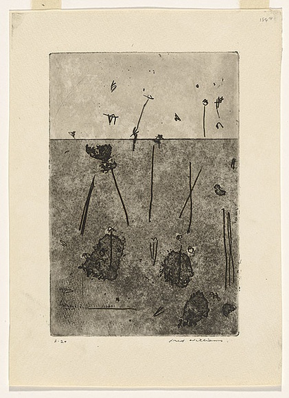Artist: b'WILLIAMS, Fred' | Title: b'Gum trees in landscape, Lysterfield' | Date: 1965-66 | Technique: b'etching, aquatint, sugar aquatint and drypoint, printed in black ink, from one copper plate' | Copyright: b'\xc2\xa9 Fred Williams Estate' Artist: b'WILLIAMS, Fred' | Title: b'Gum trees in landscape, Lysterfield' | Date: 1965-66 | Technique: b'etching, aquatint, sugar aquatint and drypoint, printed in black ink, from one copper plate' | Copyright: b'\xc2\xa9 Fred Williams Estate'