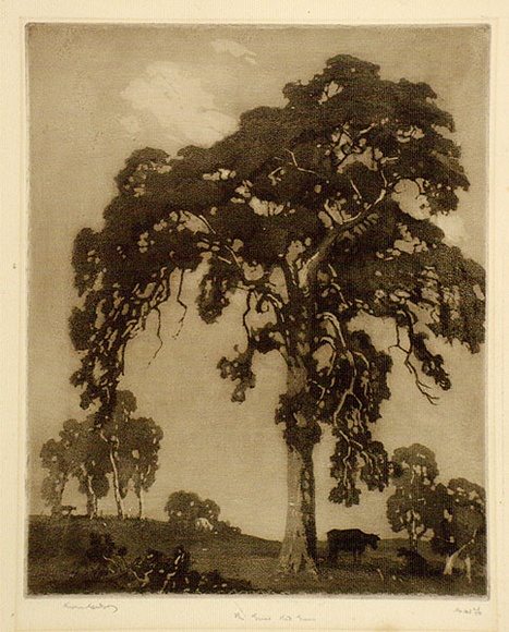 Artist: b'LINDSAY, Lionel' | Title: b'The great red gum' | Date: 1922 | Technique: b'spirit-aquatint, printed in brown ink, from one plate' | Copyright: b'Courtesy of the National Library of Australia' Artist: b'LINDSAY, Lionel' | Title: b'The great red gum' | Date: 1922 | Technique: b'spirit-aquatint, printed in brown ink, from one plate' | Copyright: b'Courtesy of the National Library of Australia'