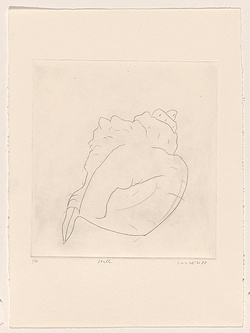 Title: Shell | Date: 1983 | Technique: drypoint, printed in black ink, from one perspex plate