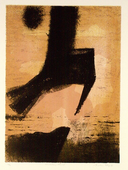 Artist: b'King, Grahame.' | Title: b'Predatory Bird' | Date: 1963 | Technique: b'lithograph, printed in colour, from three zinc plates' Artist: b'King, Grahame.' | Title: b'Predatory Bird' | Date: 1963 | Technique: b'lithograph, printed in colour, from three zinc plates'