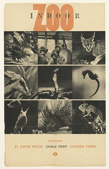 Artist: b'Beck, Richard.' | Title: b'Indoor zoo.' | Date: c.1937 | Technique: b'lithograph, printed in colour, from multiple plates' Artist: b'Beck, Richard.' | Title: b'Indoor zoo.' | Date: c.1937 | Technique: b'lithograph, printed in colour, from multiple plates'