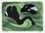 Artist: Mayo, Eileen. | Title: Black swans. | Technique: linocut, printed in colour inks, from multiple blocks