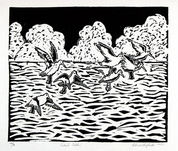 Artist: b'Shepherd, Elise.' | Title: b'Tidal flats' | Date: 1985 | Technique: b'linocut, printed in black/green ink, from one block' Artist: b'Shepherd, Elise.' | Title: b'Tidal flats' | Date: 1985 | Technique: b'linocut, printed in black/green ink, from one block'
