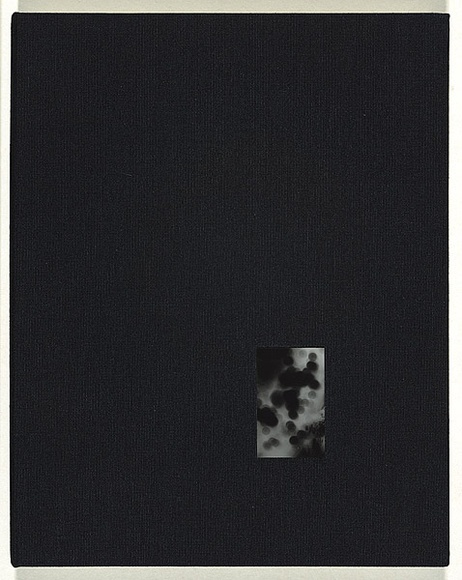 Title: b'Everything beautiful is indeterminate' | Date: 2004 | Technique: b'digital prints, printed in colour, from digital files; photo-etchings, printed in colour, from multiple plates' Title: b'Everything beautiful is indeterminate' | Date: 2004 | Technique: b'digital prints, printed in colour, from digital files; photo-etchings, printed in colour, from multiple plates'