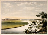 Artist: b'Angas, George French.' | Title: b'The River Murray, near Lake Alexandrina.' | Date: 1846-47 | Technique: b'lithograph, printed in colour, from multiple stones; varnish highlights by brush'