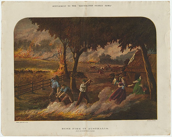 Artist: b'Calvert, Samuel.' | Title: b'Bush fire in Australia.' | Date: 1880 | Technique: b'wood-engraving, printed in colour, from multiple blocks' Artist: b'Calvert, Samuel.' | Title: b'Bush fire in Australia.' | Date: 1880 | Technique: b'wood-engraving, printed in colour, from multiple blocks'