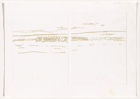 Title: b'Antarctica (sheet 8)' | Date: 1988 | Technique: b'photo-etching and embossing, printed in intaglio and relief, from two zinc plates'