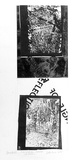 Artist: b'WICKS, Arthur' | Title: b'Angle of reflection reflected (for Newton)' | Date: 1975 | Technique: b'photo-etching, printed in black ink, from one plate'