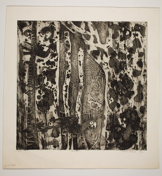 Artist: b'Haxton, Elaine' | Title: b'Maculata' | Date: 1967 | Technique: b'open-bite etching and aquatint, printed in blue ink, from one plate' Artist: b'Haxton, Elaine' | Title: b'Maculata' | Date: 1967 | Technique: b'open-bite etching and aquatint, printed in blue ink, from one plate'