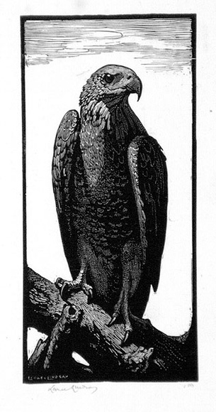 Artist: b'LINDSAY, Lionel' | Title: b'The brown hawk' | Date: 1924 | Technique: b'wood-engraving, printed in black ink, from one block' | Copyright: b'Courtesy of the National Library of Australia' Artist: b'LINDSAY, Lionel' | Title: b'The brown hawk' | Date: 1924 | Technique: b'wood-engraving, printed in black ink, from one block' | Copyright: b'Courtesy of the National Library of Australia'