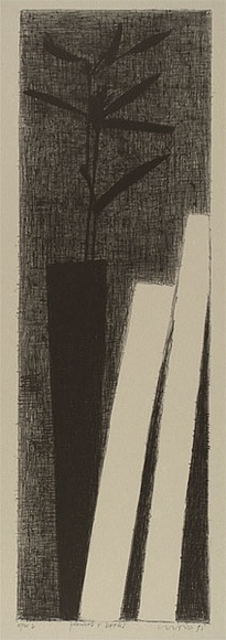 Artist: b'Lincoln, Kevin.' | Title: b'Flowers and books' | Date: 1995, November | Technique: b'lithograph, printed in black ink, from one stone' Artist: b'Lincoln, Kevin.' | Title: b'Flowers and books' | Date: 1995, November | Technique: b'lithograph, printed in black ink, from one stone'