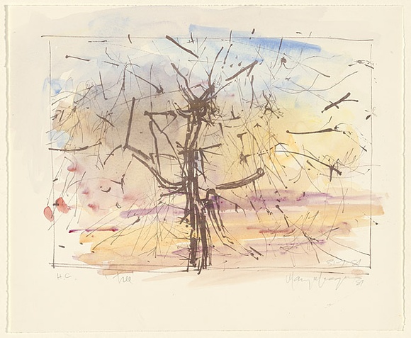 Artist: b'MACQUEEN, Mary' | Title: b'Tree' | Date: 1981 | Technique: b'lithograph, printed in brown ink, from one plate; hand-coloured' | Copyright: b'Courtesy Paulette Calhoun, for the estate of Mary Macqueen' Artist: b'MACQUEEN, Mary' | Title: b'Tree' | Date: 1981 | Technique: b'lithograph, printed in brown ink, from one plate; hand-coloured' | Copyright: b'Courtesy Paulette Calhoun, for the estate of Mary Macqueen'