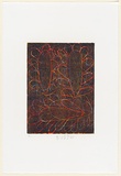 Artist: b'Williamson, Ruby.' | Title: b'Untitled' | Date: 2002 | Technique: b'woodcut'