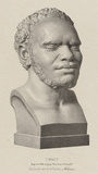 Title: b'Timmey' | Date: 1841- 1855 | Technique: b'lithograph, printed in black ink, from one stone [or plate]'