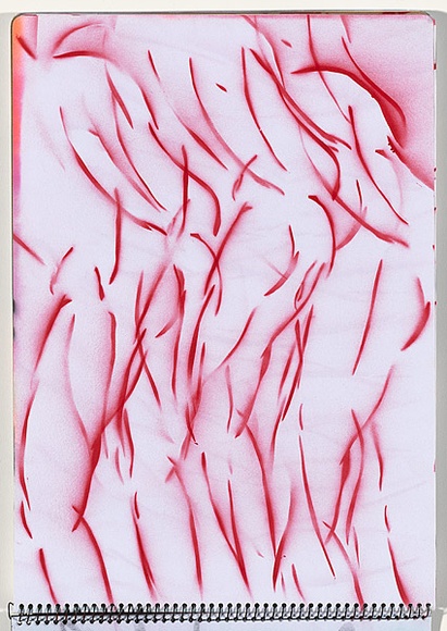 Title: b'Chickenpox' | Date: 2003-2004 | Technique: b'stencil, printed with colour aerosol paint, from multiple stencils'