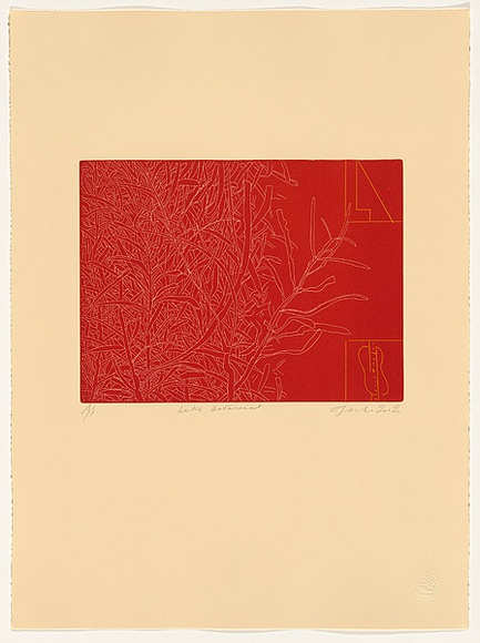 Artist: b'JACKS, Robert' | Title: b'Lake Botanical' | Date: 2002 | Technique: b'etching, printed in colour, from one plate; hand-coloured' Artist: b'JACKS, Robert' | Title: b'Lake Botanical' | Date: 2002 | Technique: b'etching, printed in colour, from one plate; hand-coloured'