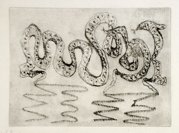 Artist: b'Shearer, Mitzi.' | Title: b'They pleaded ignorance. First part' | Date: c.1984 | Technique: b'etching, printed in black ink with plate-tone, from one plate' Artist: b'Shearer, Mitzi.' | Title: b'They pleaded ignorance. First part' | Date: c.1984 | Technique: b'etching, printed in black ink with plate-tone, from one plate'