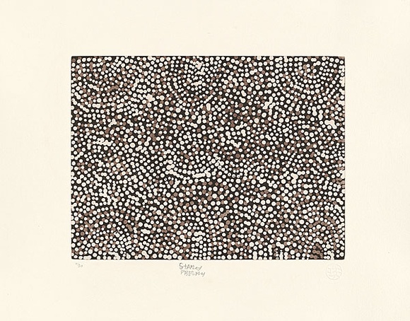 Artist: b'Presley, Patju.' | Title: bMinyma Tjukurpa (Women's Story) | Date: 2004