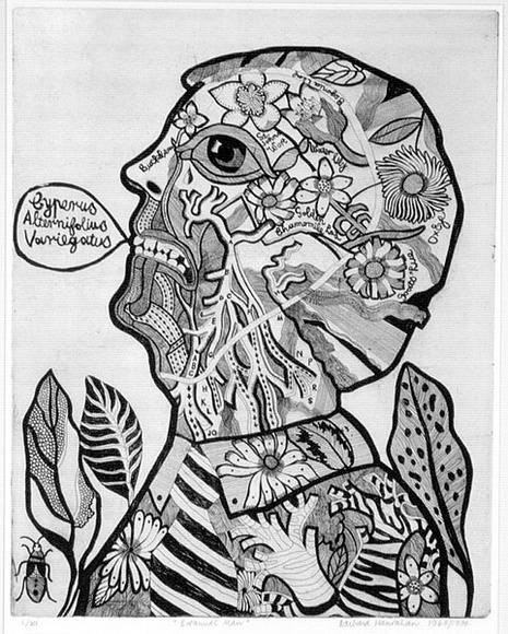 Artist: b'HANRAHAN, Barbara' | Title: b'Botanical man' | Date: 1965-75 | Technique: b'etching, printed in black ink with plate-tone, from one plate' Artist: b'HANRAHAN, Barbara' | Title: b'Botanical man' | Date: 1965-75 | Technique: b'etching, printed in black ink with plate-tone, from one plate'