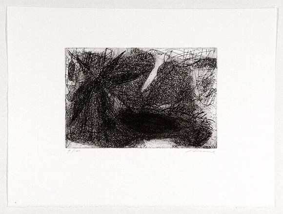 Artist: b'LOANE, John' | Title: b'not titled.' | Date: 1988 | Technique: b'etching, printed in black ink, from one plate' | Copyright: b'This work appears on the screen courtesy of the artist' Artist: b'LOANE, John' | Title: b'not titled.' | Date: 1988 | Technique: b'etching, printed in black ink, from one plate' | Copyright: b'This work appears on the screen courtesy of the artist'