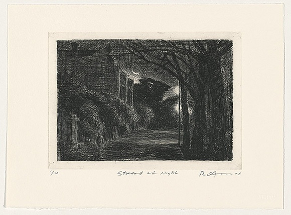 Artist: b'AMOR, Rick' | Title: b'Street at night.' | Date: 2006 | Technique: b'etching, printed in black ink with plate-tone, from one plate'