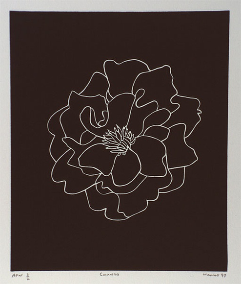 Artist: b'Marshall, John.' | Title: b'Camellia' | Date: 1997 | Technique: b'linocut, printed in black ink, from one block' Artist: b'Marshall, John.' | Title: b'Camellia' | Date: 1997 | Technique: b'linocut, printed in black ink, from one block'