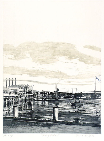 Artist: b'GRIFFITH, Pamela' | Title: b'Darling Harbour' | Date: 1988 | Technique: b'hardground-etching and aquatint, printed in colour, from one copper plate' | Copyright: b'\xc2\xa9 Pamela Griffith' Artist: b'GRIFFITH, Pamela' | Title: b'Darling Harbour' | Date: 1988 | Technique: b'hardground-etching and aquatint, printed in colour, from one copper plate' | Copyright: b'\xc2\xa9 Pamela Griffith'