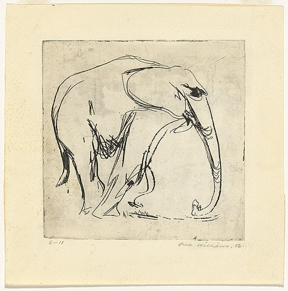 Artist: b'WILLIAMS, Fred' | Title: b'Young elephant' | Date: 1956 | Technique: b'etching, printed in black ink, from one zinc plate' | Copyright: b'\xc2\xa9 Fred Williams Estate' Artist: b'WILLIAMS, Fred' | Title: b'Young elephant' | Date: 1956 | Technique: b'etching, printed in black ink, from one zinc plate' | Copyright: b'\xc2\xa9 Fred Williams Estate'