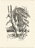 Title: Fortescue River | Date: 1982 | Technique: lithograph, printed in black ink, from one stone
