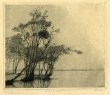 Title: The bent tree, Tuggerah Lake | Date: c.1925 | Technique: etching, printed in black ink, from one plate