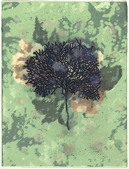 Title: b'Sea floor 62' | Date: 2009 | Technique: b'digital print, printed in colour, from digital file; etching, printed in blue ink, from one plate; hand-painted'