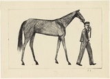 Title: Strapper and horse | Date: c.1956 | Technique: drypoint, printed in black ink, from one copper plate
