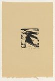 Artist: Withers, Rod. | Title: Woodcut: from the set Australian birds of prey or the rogue sparrow | Date: 1979 | Technique: woodcut, printed in black ink, from one block