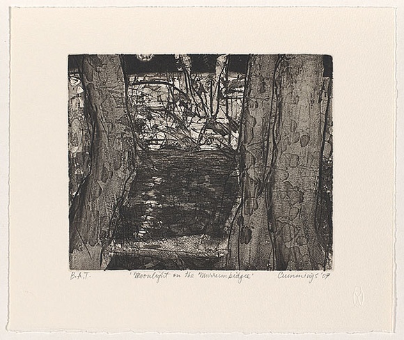 Artist: b'Cummings, Elizabeth.' | Title: b'Moonlight on the Murrumbidgee.' | Date: 2007 | Technique: b'etching, aquatint and open-bite, printed in black ink, from one plate' Artist: b'Cummings, Elizabeth.' | Title: b'Moonlight on the Murrumbidgee.' | Date: 2007 | Technique: b'etching, aquatint and open-bite, printed in black ink, from one plate'